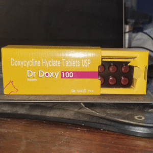 Dr Doxy 100 Doxycycline Hyclate Tablets Strip of 10