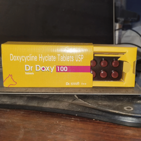 Dr Doxy 100 Doxycycline Hyclate Tablets Strip of 10