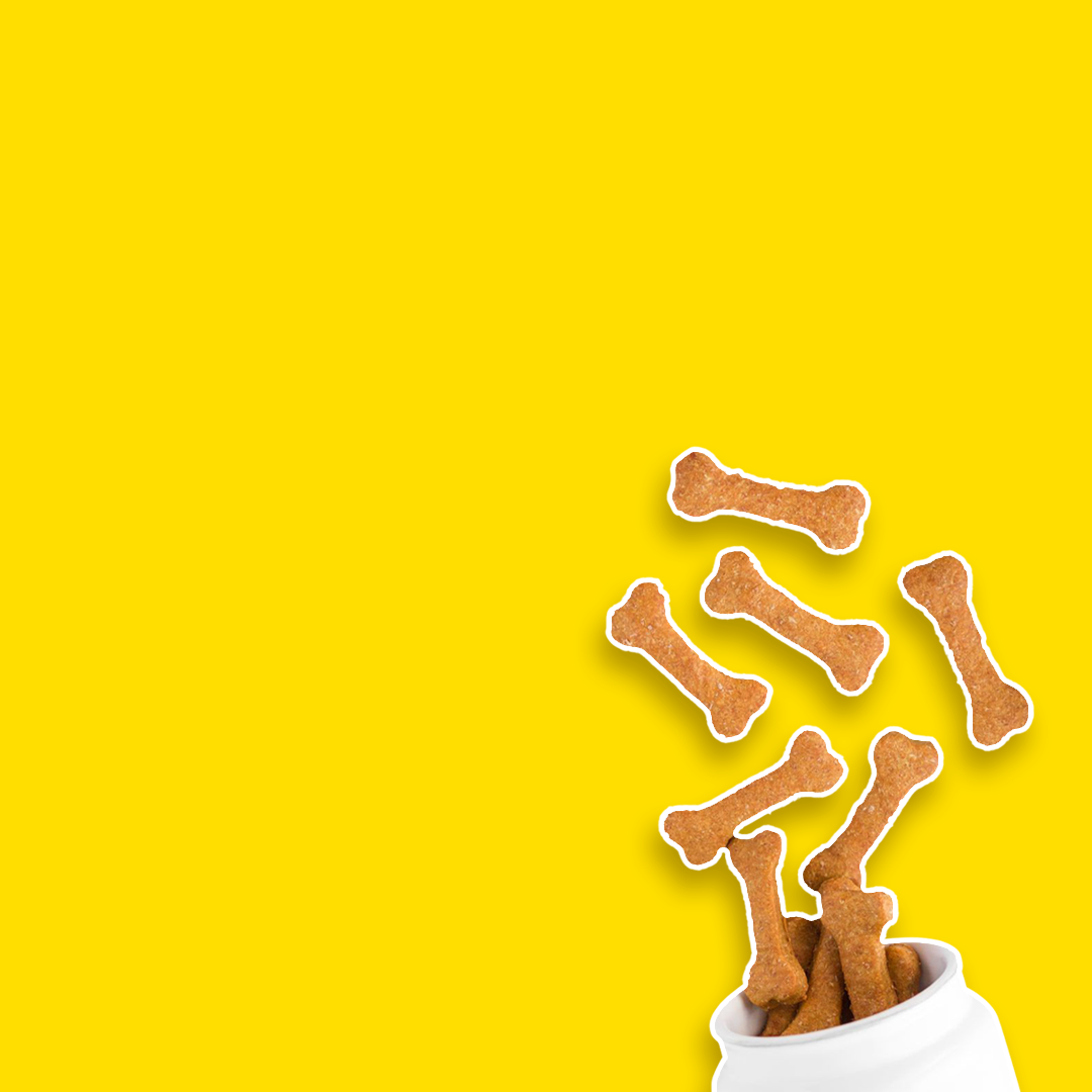 Dog Treats