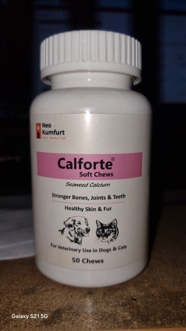 Calforte Chewable 50 Tablets Supplement for Cats and Dogs
