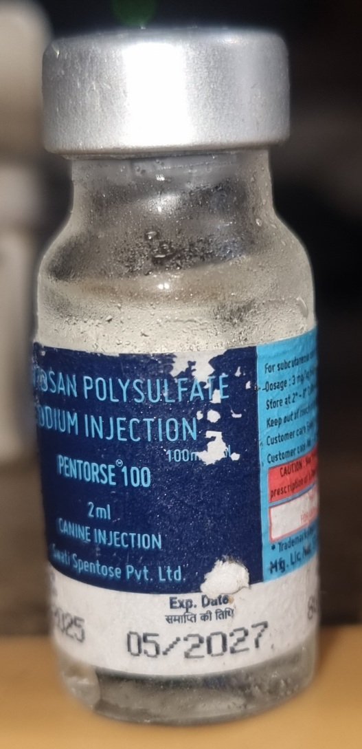 Vetina Pentorse 100 mg Joint Support Injection for Dogs - 2 ml Vial - Image 3