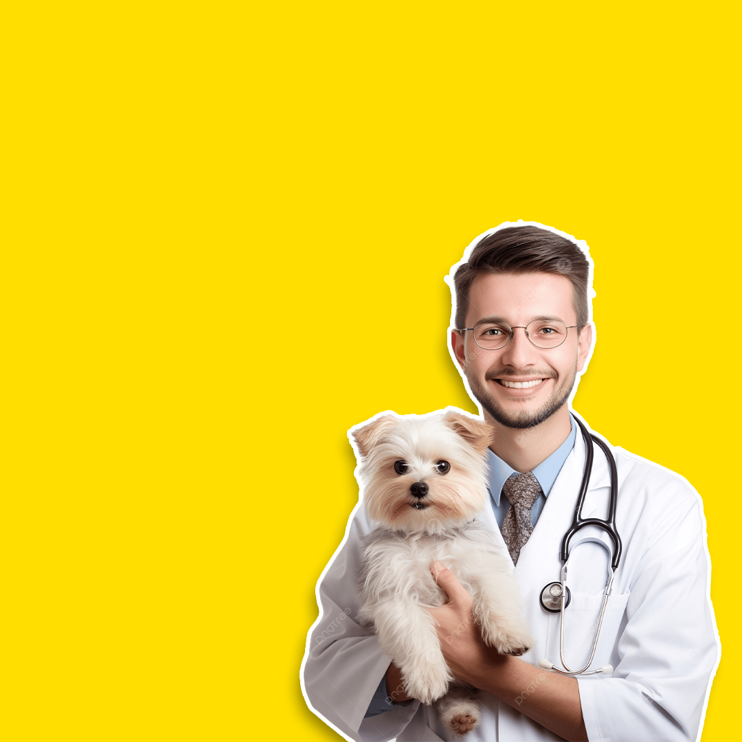 Gastrointestinal Treatments