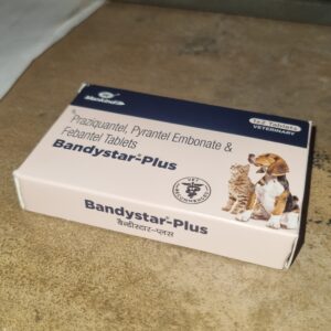 Bandystar Plus Dog Deworming Tablets Strip of 2