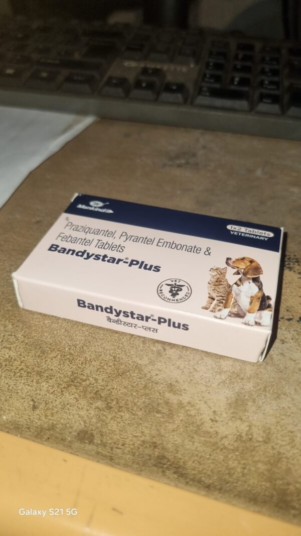 Bandystar Plus Dog Deworming Tablets Strip of 2 – RKD Pet Shop