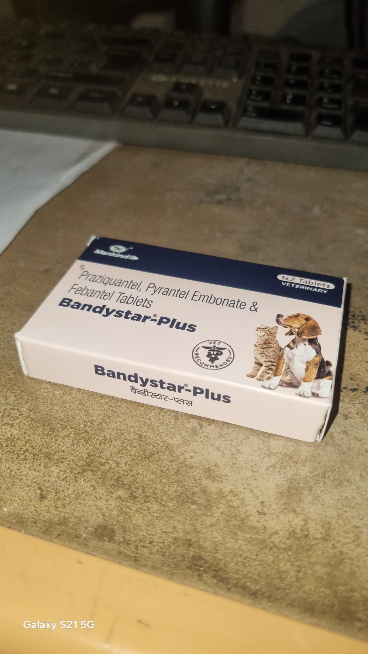 Bandystar Plus Dog Deworming Tablets Strip of 2