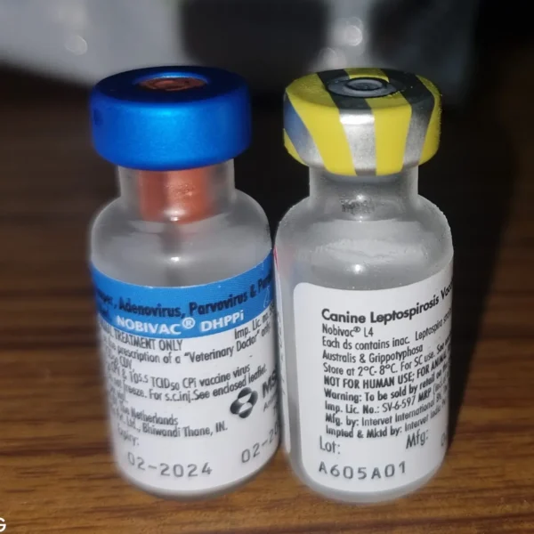 Nobivac Dhppi plus L4 Lepto Combined Vaccine for Dogs