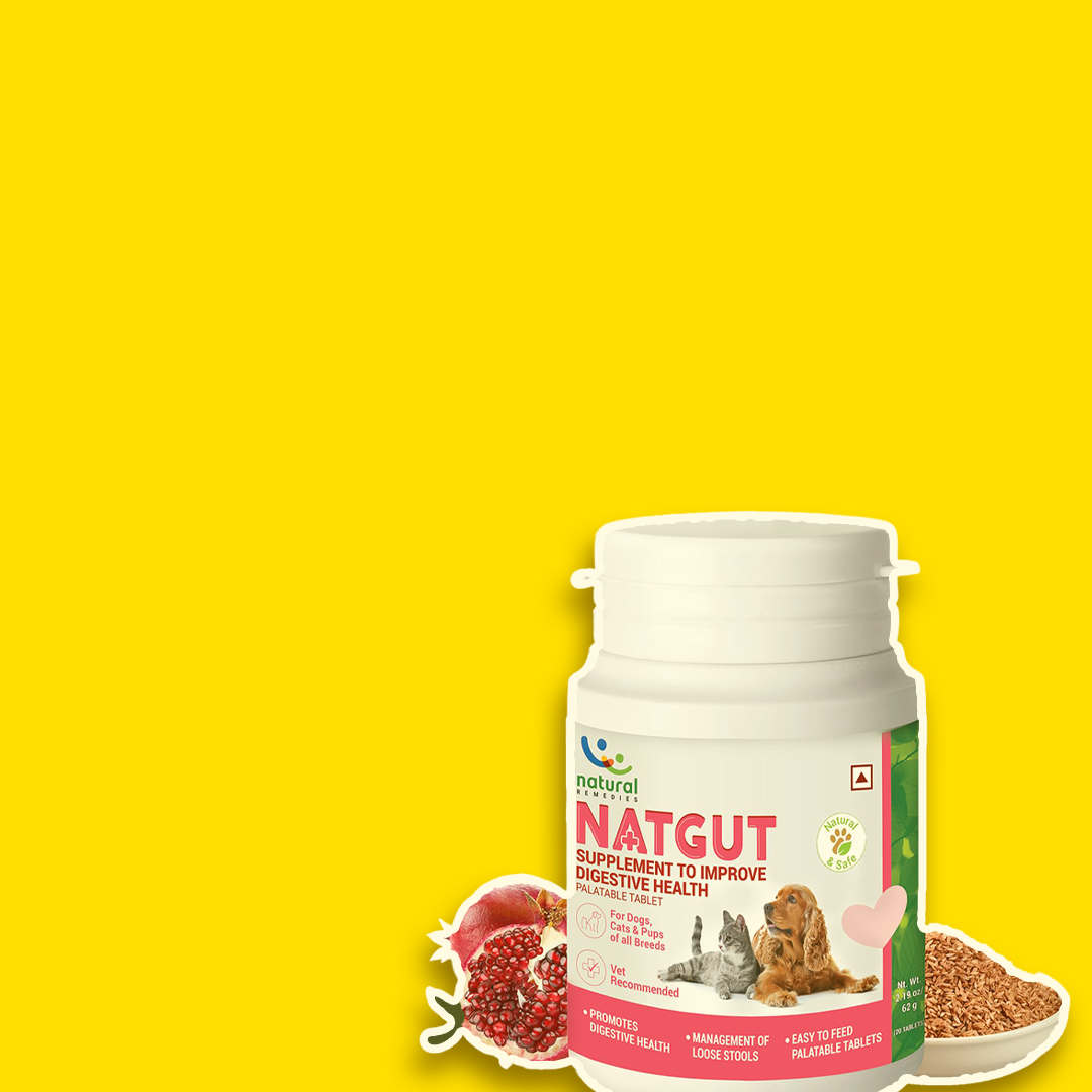 Pet Feed Supplement Remedies
