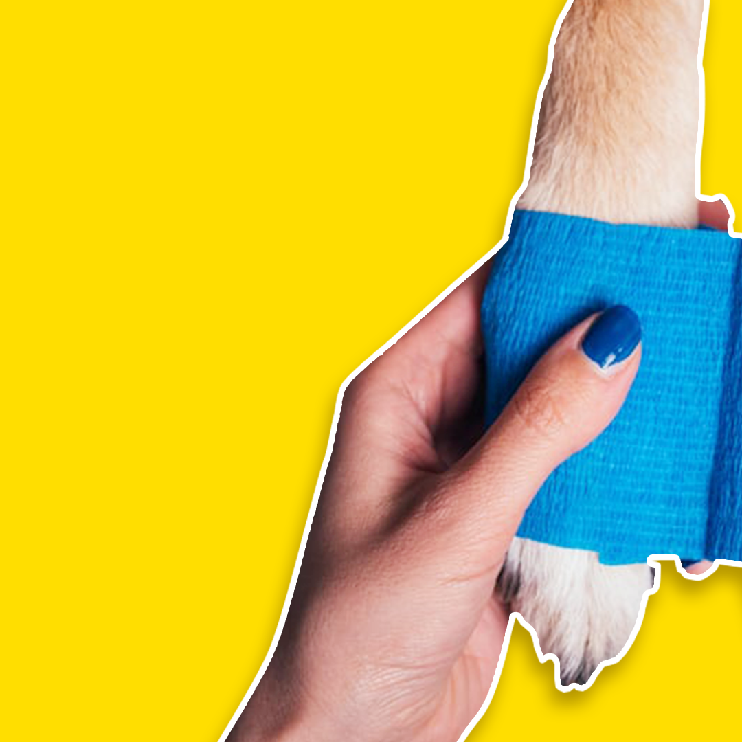 Pet Wound Dressing