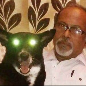 pet-parent-counselling