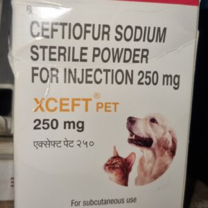 Alembic Xceft Pet Injection 250 mg | Veterinary-Exclusive Sterile Ceftiofur Sodium for Dogs & Cats