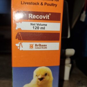 Brihans Recovit 120ml | Essential Vitamin Feed Supplement for Poultry Birds & Livestock