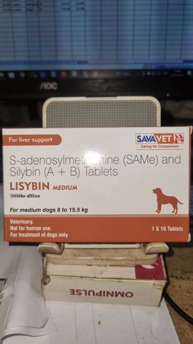 SavaVet Lisybin Liver Support Supplement for Cats & Dogs Strip of 10 Tablets - Medium