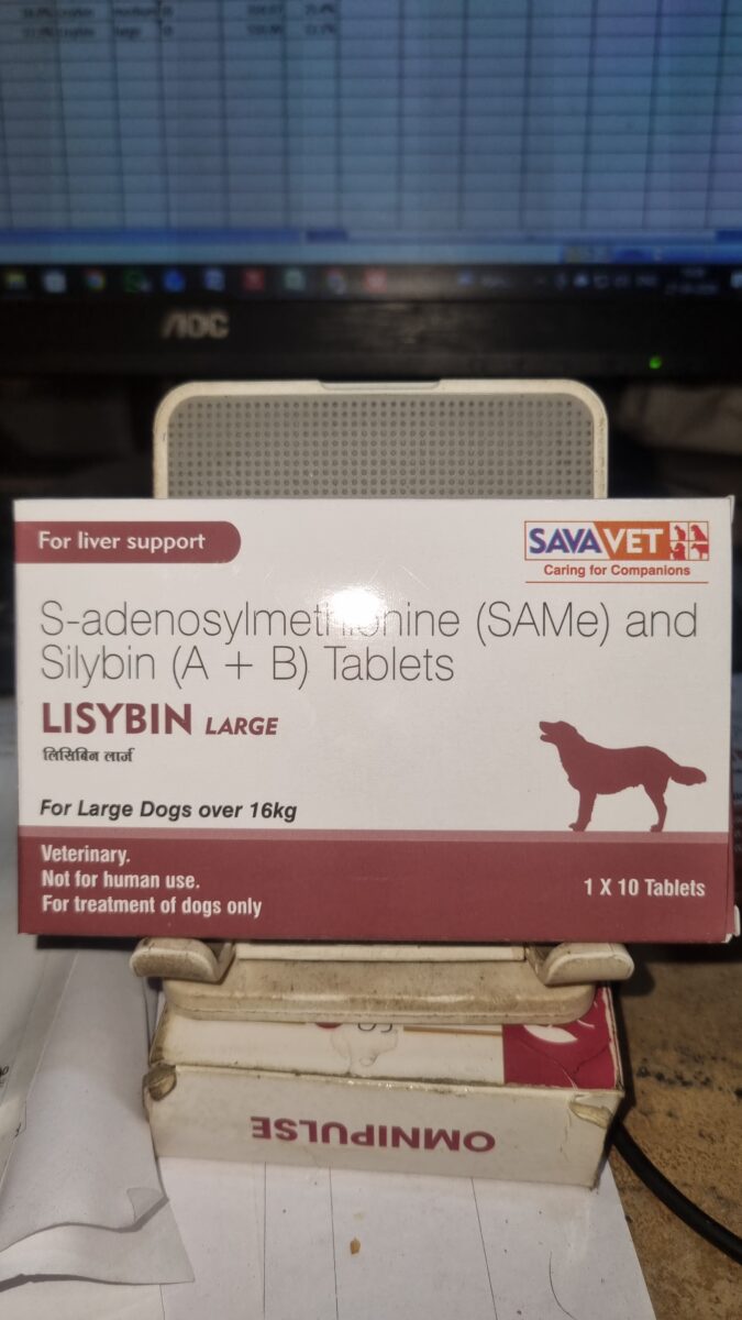 SavaVet Lisybin Liver Support Supplement for Cats & Dogs Strip of 10 Tablets - Large