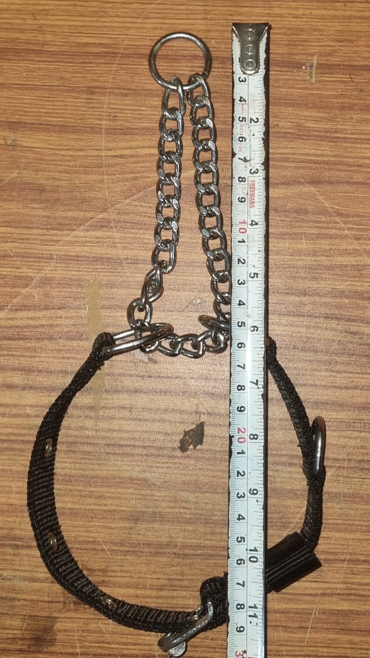 Heavy-Duty 1-Inch Wide Choke Collar for Small & Medium Dogs - Image 5