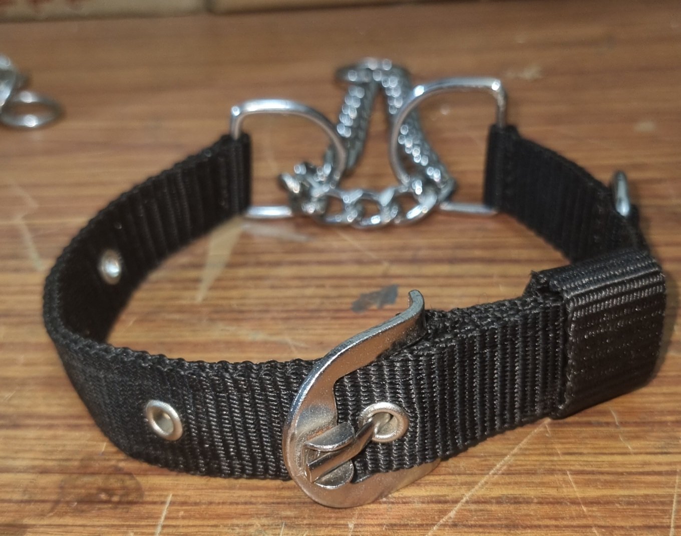 Heavy-Duty 1-Inch Wide Choke Collar for Small & Medium Dogs - Image 4