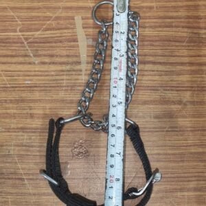 Heavy-Duty 1-Inch Wide Choke Collar for Small & Medium Dogs